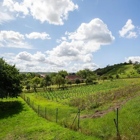 Lägenhet Apartmenthaus Schlag