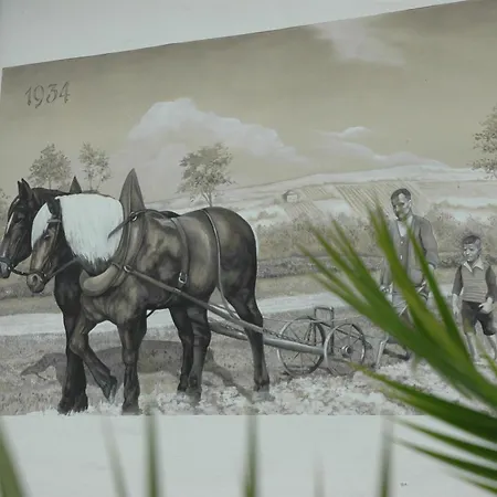 Apartmenthaus Schlag Naumburg (Saale)